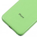iPhone 5C Back Housing Replacement (Green)